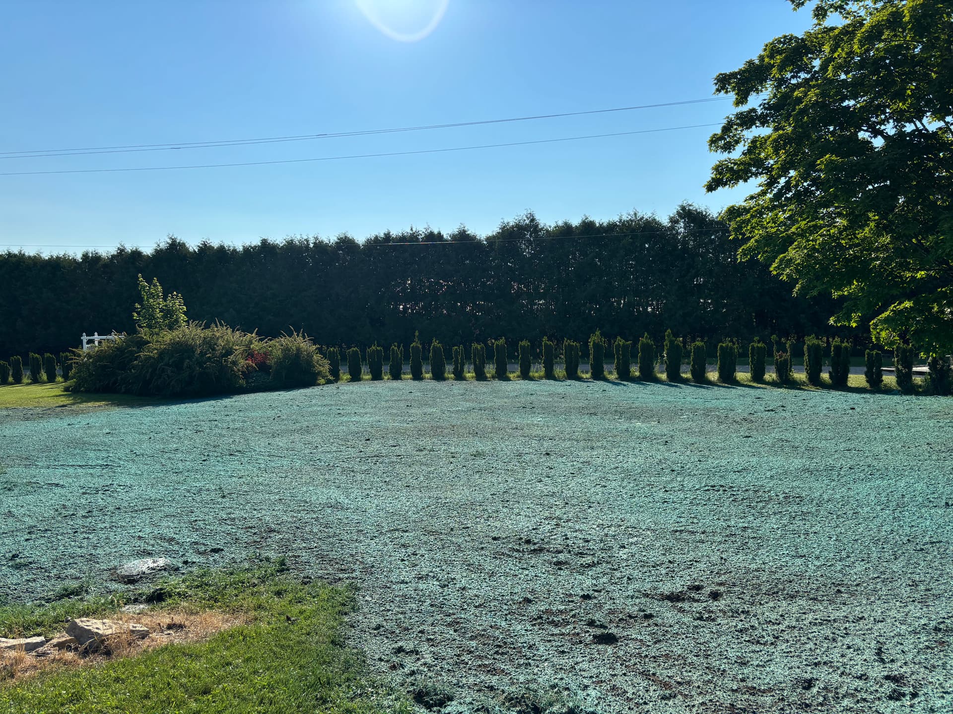 1,200 Sq Ft Drain Field and Septic System Done Right image