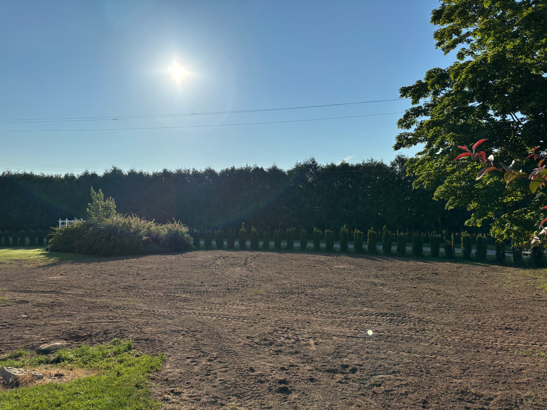 Gallery photos for 1,200 Sq Ft Drain Field and Septic System Done Right: Image #1