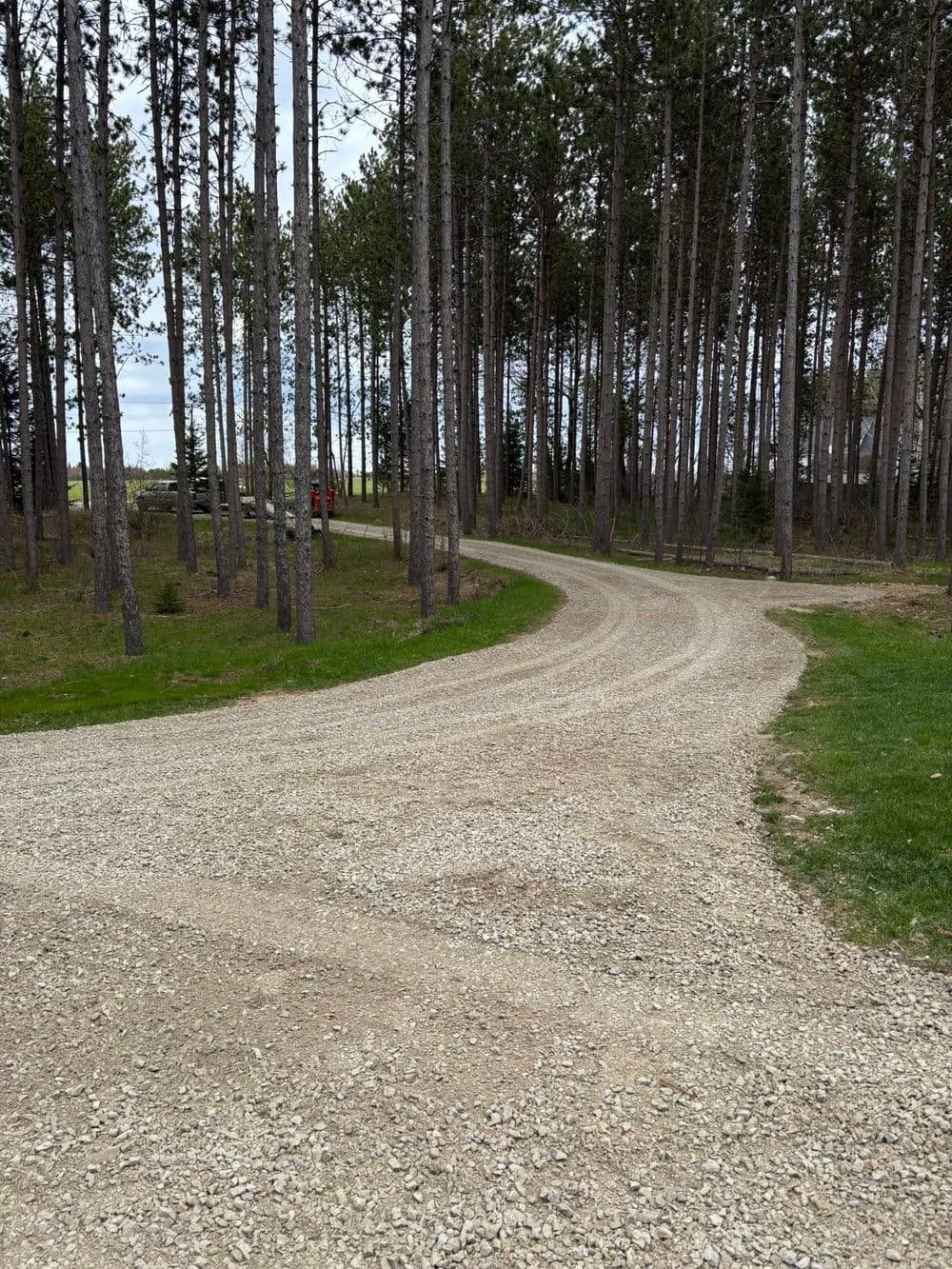 Curved gravel driveway winding through tall trees in a rural landscape.