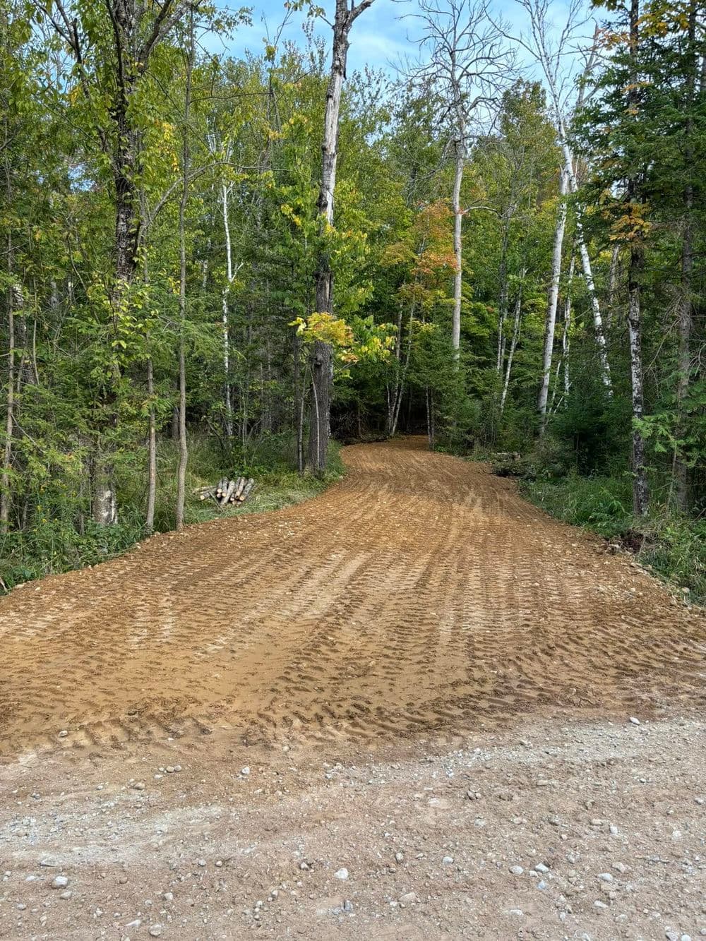 Gravel path through a wooded area, featuring fresh earth and scattered trees.