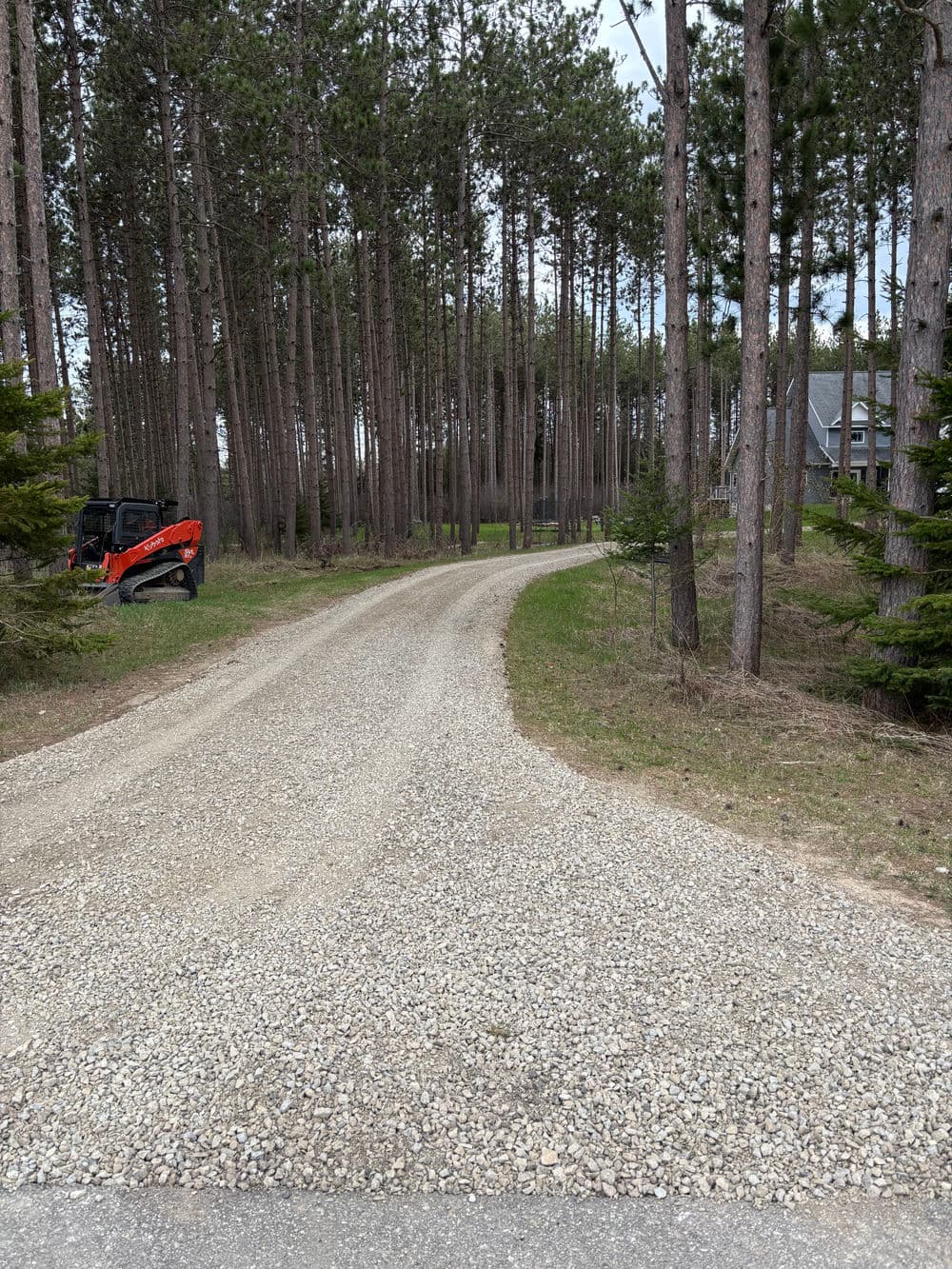 Gravel driveway winding through tall pine trees, leading to a house in a wooded area.