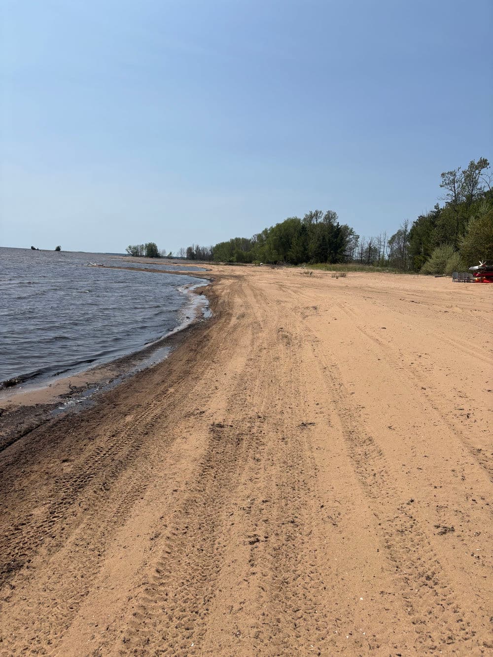 sandy beach shoreline with calm water and distant trees under a clear blue sky