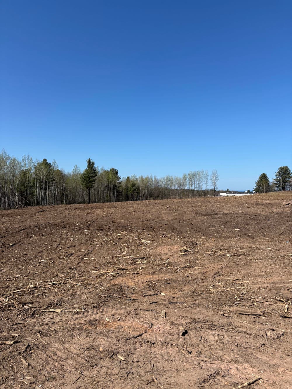 Cleared land with sparse trees under a clear blue sky, ready for development.
