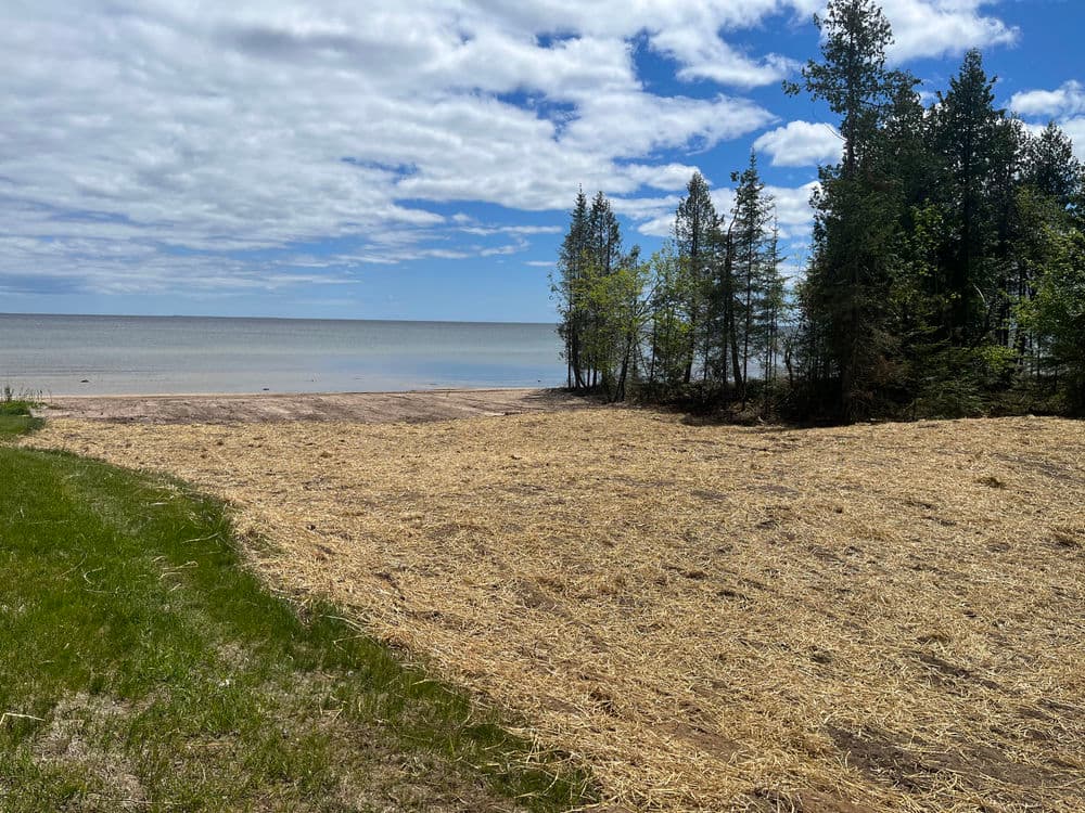 Serene lakeside shoreline with sandy beach and lush trees under a cloudy blue sky.